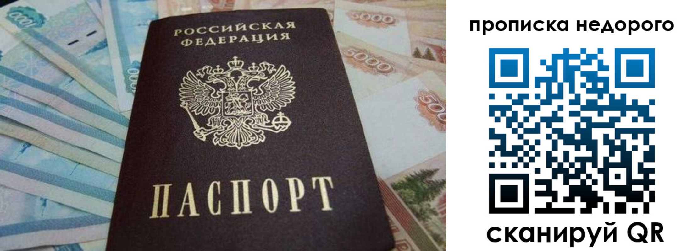 временная регистрация поиск в Оленегорске